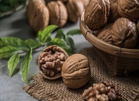 قیمت و خرید مغز گردو خورشتی با مشخصات کامل