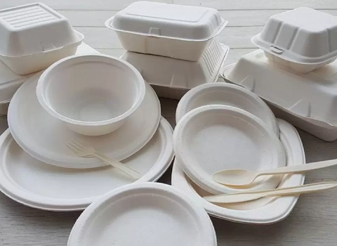 خرید و قیمت ظروف یکبار مصرف گیاهی تبریز