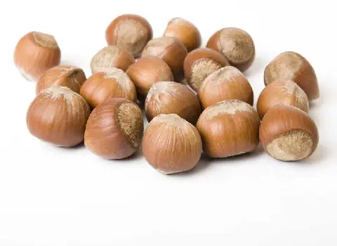 قیمت خرید پوست فندق + فروش در تجارت و صادرات