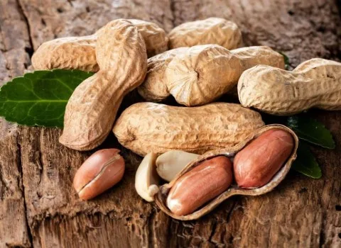 خرید و قیمت انواع بادام زمینی با غلاف