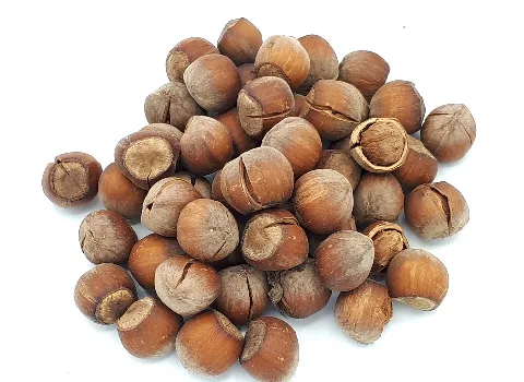 فندق خندان؛ مدل درشت شور درجه یک + چگونه فندق را خندان کنیم