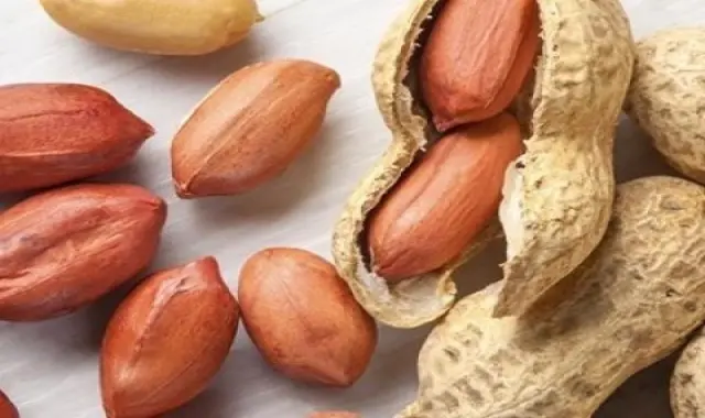 خرید بهترین انواع بادام زمینی با قیمت مناسب