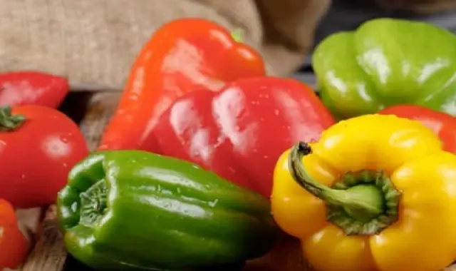 قیمت فلفل دلمه رنگی در روسیه