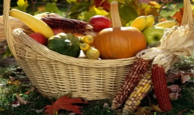 سبد میوه حصیری؛ ماشینی دستی 3 ماده اولیه چوب پلاستیک پلیمر