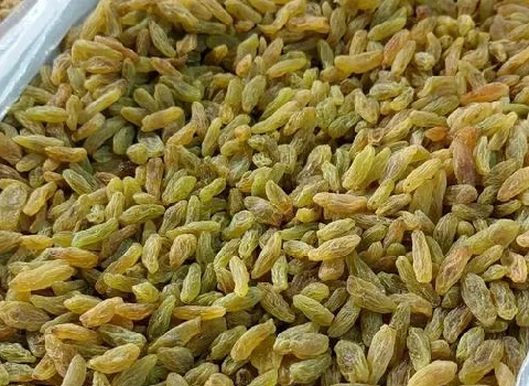 کشمش کاشمر | فروشندگان قیمت مناسب کشمش کاشمر