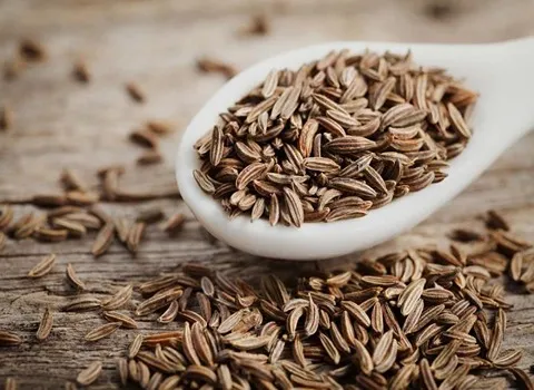 قیمت زیره سبز کاشمر از تولید به مصرف