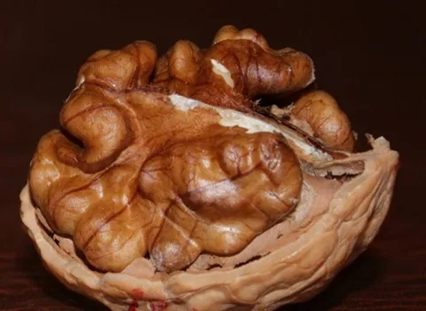 لیست قیمت مغز گردو قهوه ای به صورت عمده و با صرفه