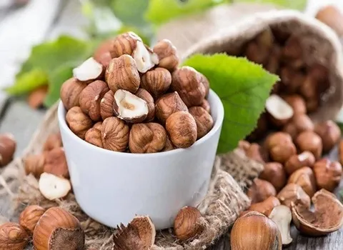 خرید و قیمت مغز فندق خام اعلاء