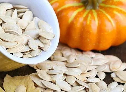 تخمه کدو پهن؛ درشت طبع سرد منیزیم منگنز روی Phosphorus