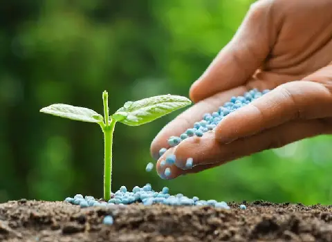 خرید و قیمت کود گوگرد نیتروژن عمده و فله