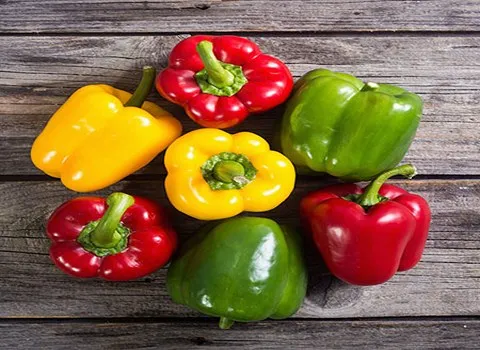 خرید انواع فلفل دلمه ای با بهترین قیمت