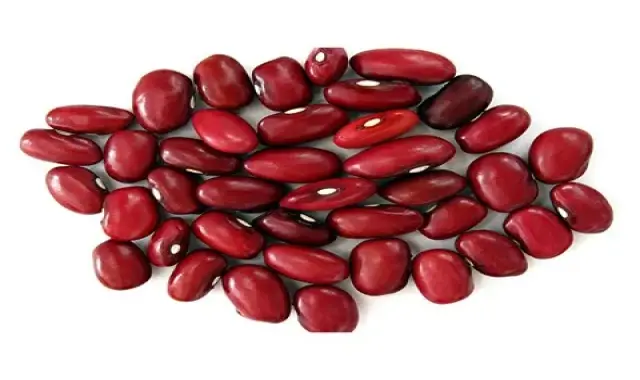 قیمت خرید لوبیا قرمز کره ای + عکس