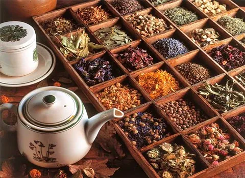 خرید بهترین انواع دمنوش گیاهی با قیمت ارزان