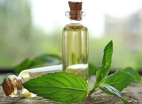 قیمت خرید اسانس خوراکی طبیعی + تست کیفیت