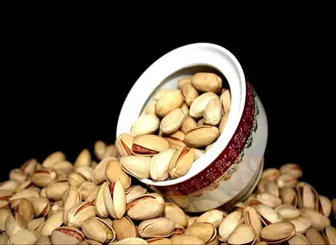 راهنمای خرید پسته احمد آقایی دامغان با شرایط ویژه و قیمت استثنایی