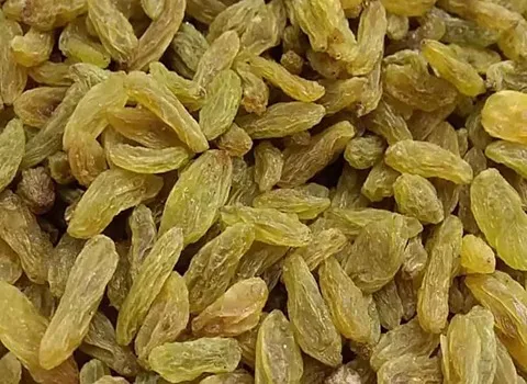 کشمش سبز در بازار؛ ارگانیک سنتی صنعتی طبع گرم پوکی استخوان cancer