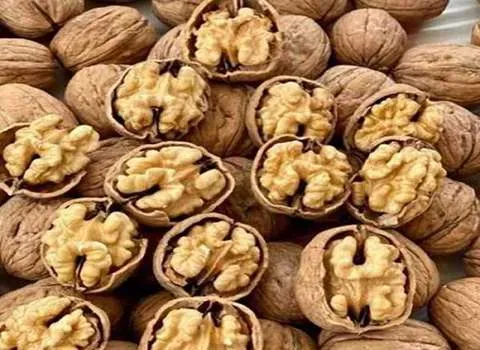 لیست قیمت مغز گردو چینی به صورت عمده و با صرفه