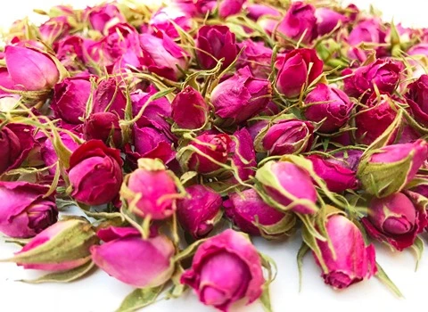 غنچه خشک گل محمدی همراه با توضیحات کامل و آشنایی