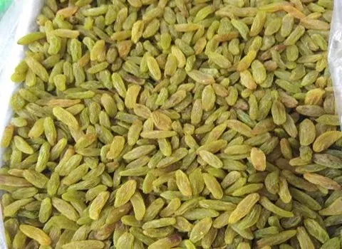 قیمت و خرید کشمش سبز ارگانیک با مشخصات کامل