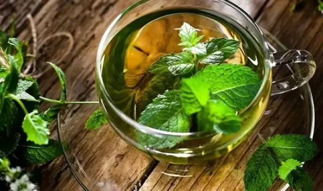 عرق نعناع سبز؛ ضد نفخ درد اسپاسم مزیت فاقد نگهدارنده
