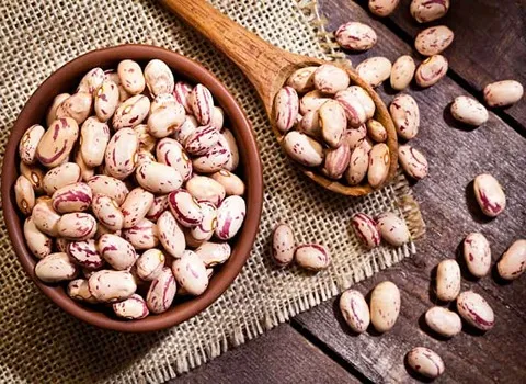 لوبیا چیتی زودرس؛ بوته ای گلخانه ای حاوی کلسیم آهن Vitamin C