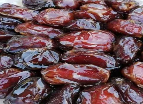 قیمت خرما کبکاب تازه