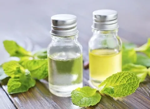 قیمت خرید عمده اسانس طبیعی نعناع ارزان و مناسب