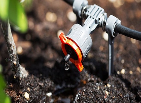 قیمت آبیاری قطره ای + خرید و فروش عمده