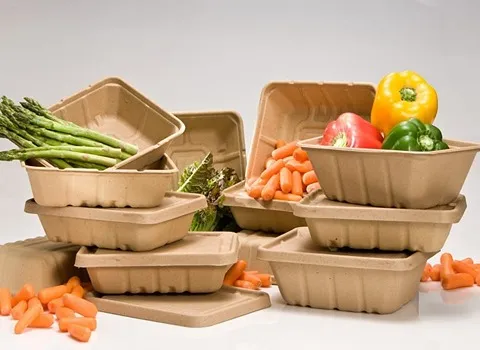 ظروف یکبار مصرف ضخیم؛ فومی آلومینیومی گیاهی تجزیه پذیری