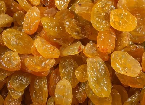 قیمت خرید تشخیص کشمش تیزابی از آفتابی + آموزش