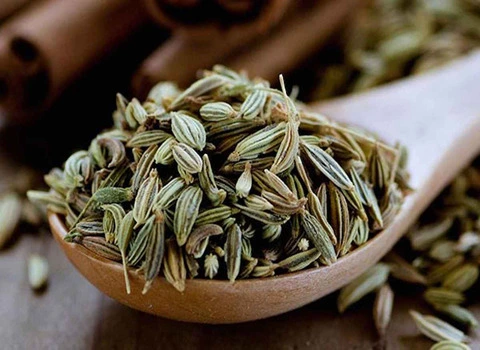 بهترین زیره سبز کدام است؟ + مقایسه کامل | قیمت عالی