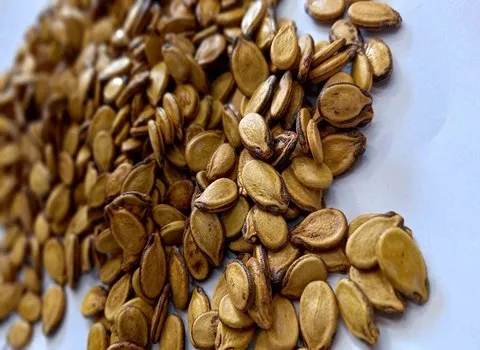 تخمه هندوانه خندان (دهن باز) بوداده بسته بندی فله حاوی فولات امگا 3