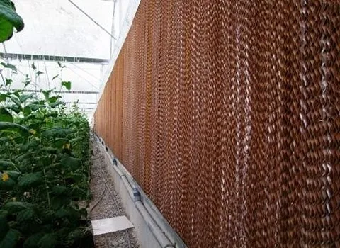 خرید پد سلولزی برای گلخانه + بهترین قیمت