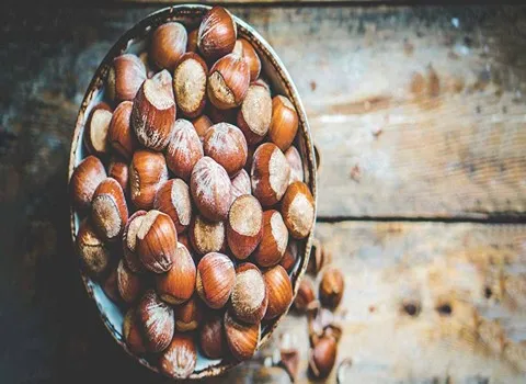 خرید و قیمت بهترین انواع فندق تازه