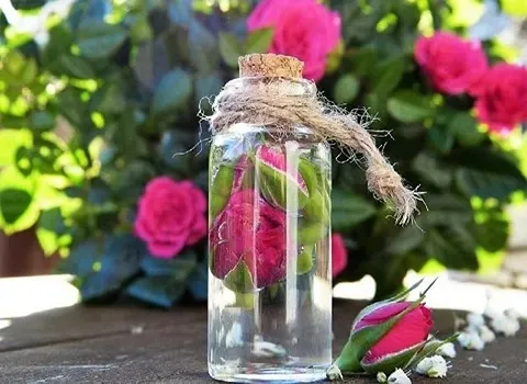 قیمت خرید گلاب خالص کاشان + مشخصات، عمده ارزان