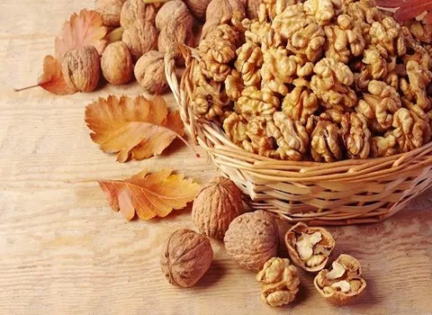 خرید گردو خوشه ای کانادایی + قیمت عالی