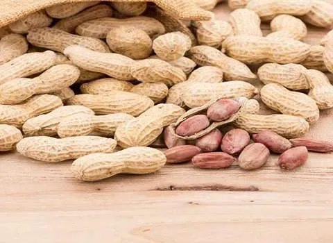 خرید بادام زمینی همدان + قیمت عالی