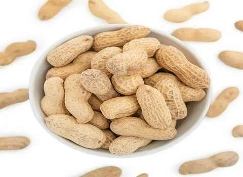 قیمت بادام زمینی خام کیلویی