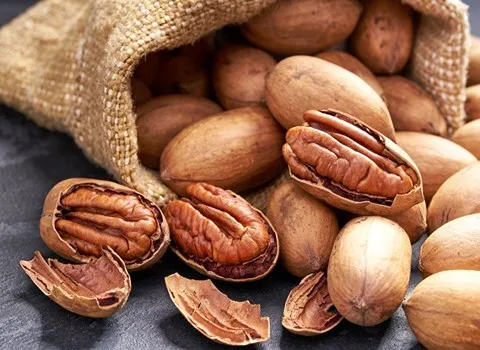 گردو پکان دزفول (آمریکایی) غیبر پروتئین کربوهیدرات walnut