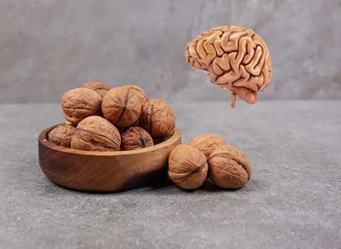 گردو با پوست Walnut درجه یک کاغذی تقویت حافظه هوش