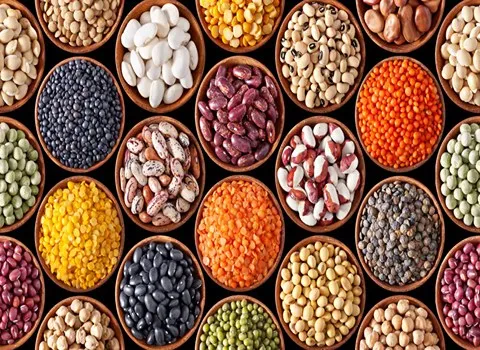 حبوبات فله به روز؛ تقویت استخوان انرژی بدن نخود عدس beans