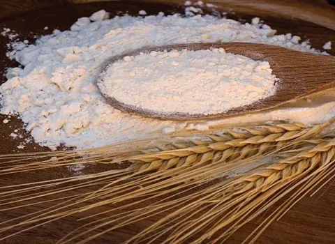 قیمت خرید عمده نشاسته گندم طبیعی ارزان و مناسب