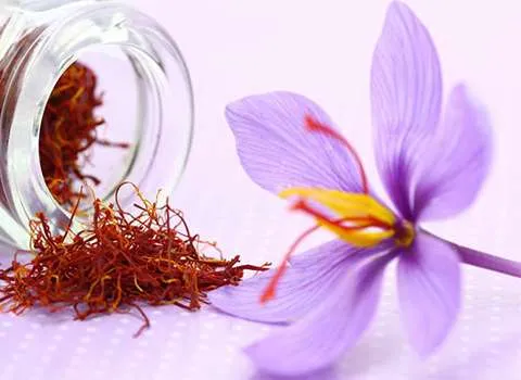 خرید باکیفیت ترین انواع زعفران با قیمت ارزان