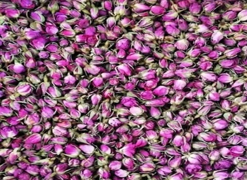 قیمت گل محمدی خشک کیلویی