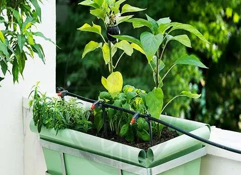 خرید لوله آبیاری + معرفی کارخانه تولید و عرضه پخش