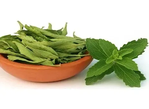 استویا برگ خشک؛ سبز شیرین کنترل دیابت فشار خون Stevia