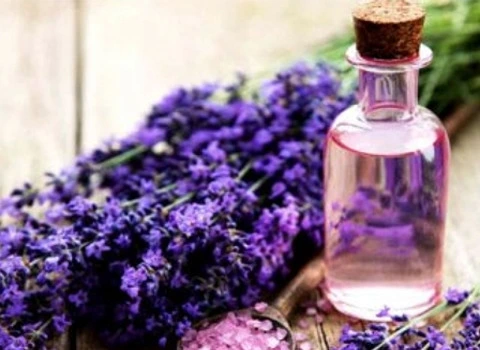 روغن اسطوخودوس + قیمت خرید، کاربرد، مصارف و خواص