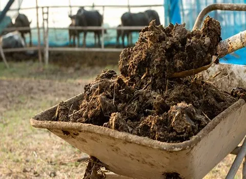 کود حیوانی | فروشندگان قیمت مناسب کود حیوانی