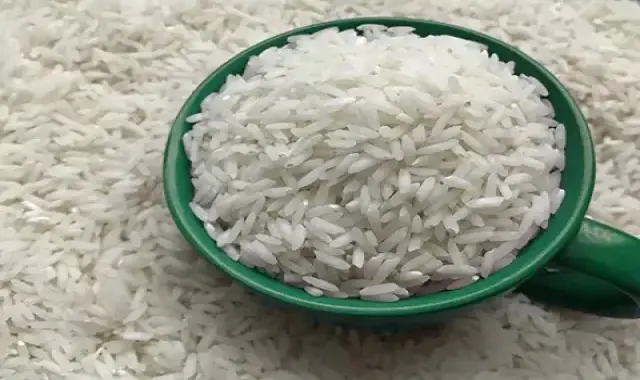 برنج هاشمی گیلان 10 کیلویی امروز؛ دانه بلند حاوی ویتامین Gilan