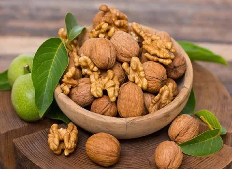 گردو کاغذی چینی؛ شیرینی کیک مغز درشت کاهش کلسترول ویتامین (D B C)